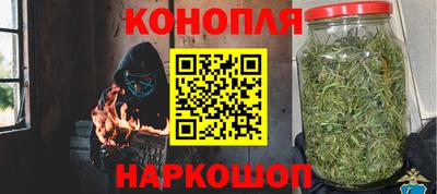 шишки Коммунар