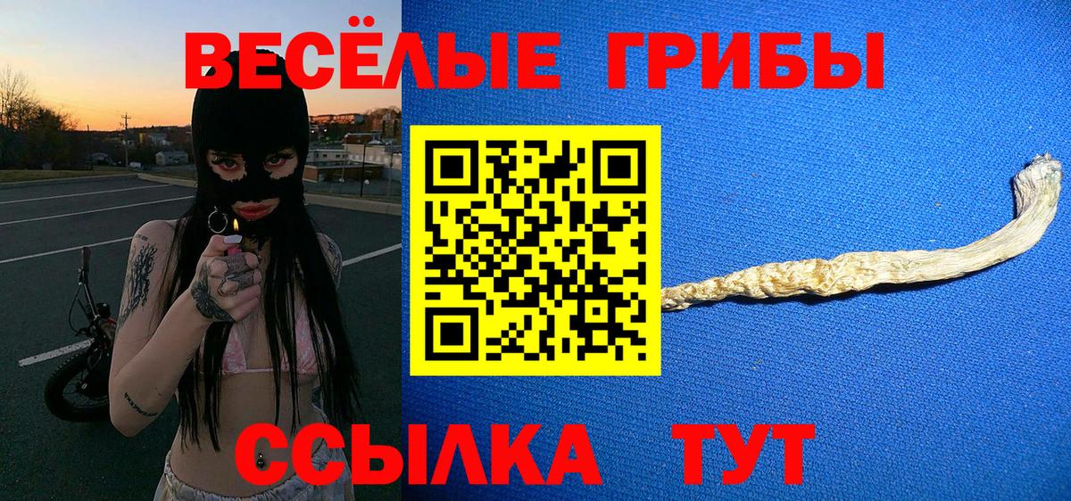 Галлюциногенные грибы мицелий  закладка  Великий Новгород  Вход с VPN 